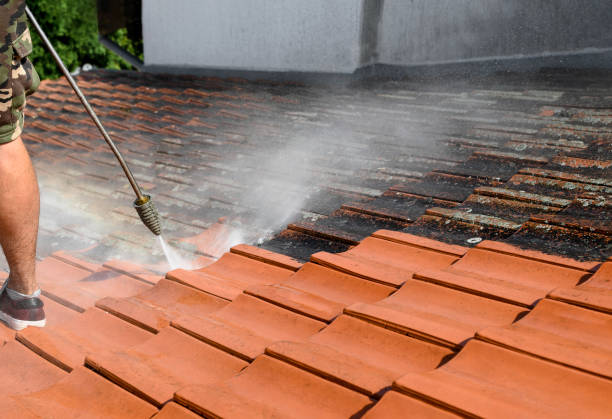 Best House Pressure Washing  in Cedarburg, WI